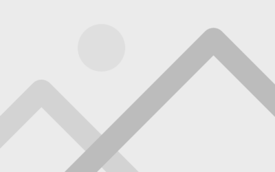 UX vs. UI design: expectations vs. reality